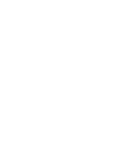 TempoPrints Logo